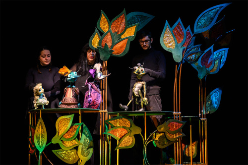 Хитър Петър